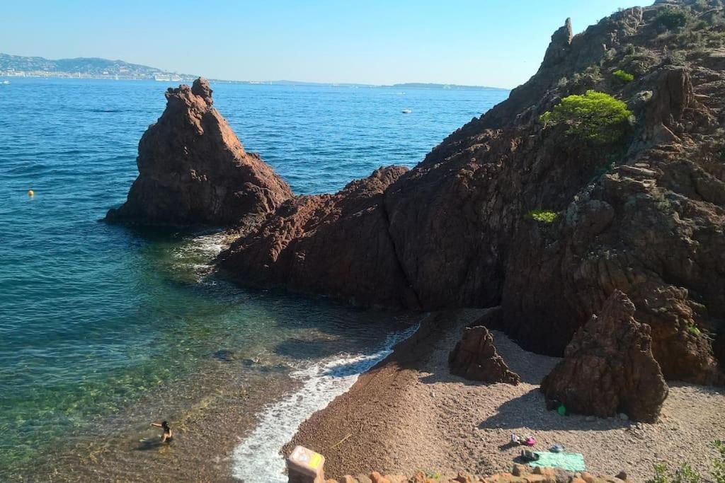 2 Pieces Climatise A 200M Des Plages Theoule-sur-Mer Exterior photo