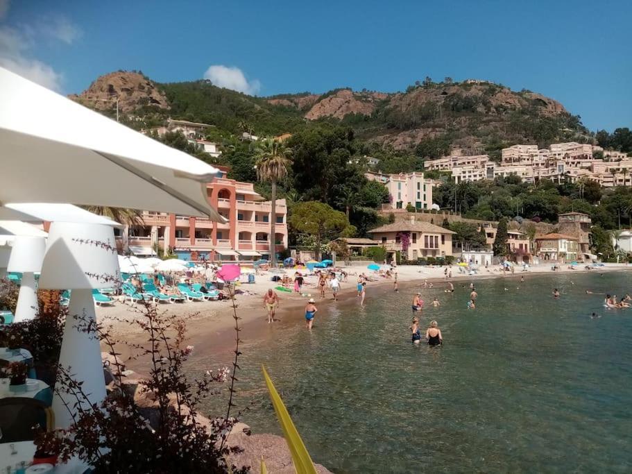 2 Pieces Climatise A 200M Des Plages Theoule-sur-Mer Exterior photo
