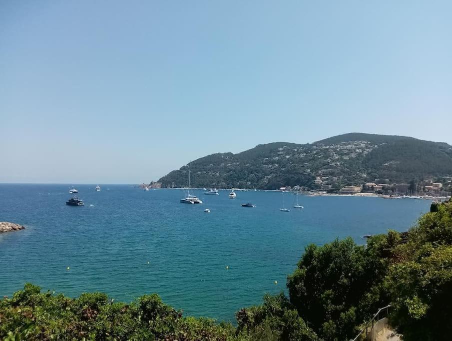2 Pieces Climatise A 200M Des Plages Theoule-sur-Mer Exterior photo
